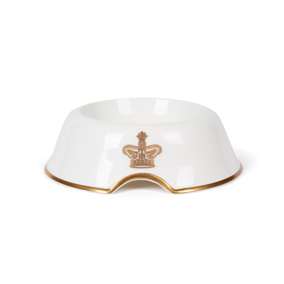 Gold dog bowl online
