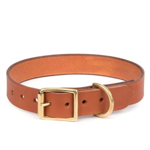 Brown leather collar engraved with the words 'Buckingham Palace'