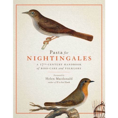 Pasta for Nightingales: A 17th-century Handbook of Bird-Care and Folklore 