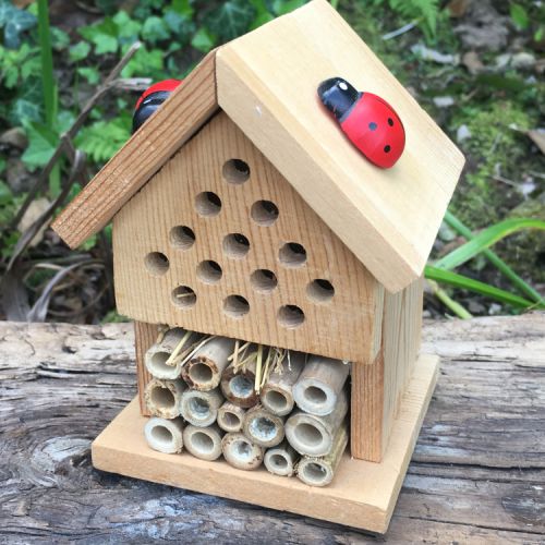 Rectangular tin displaying the kit to make your own insect house