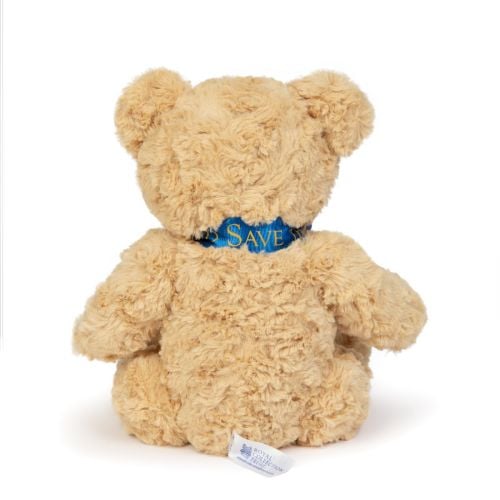 Teddy bear with blue God Save the King ribbon.
