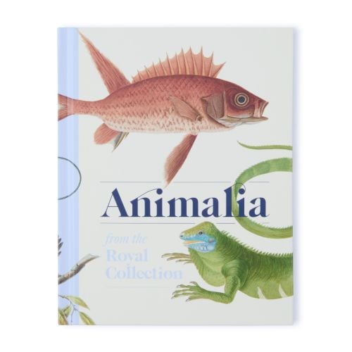 Front cover of Animalia from the Royal Collection. Illustrations of fish and iguana on a pale green background.