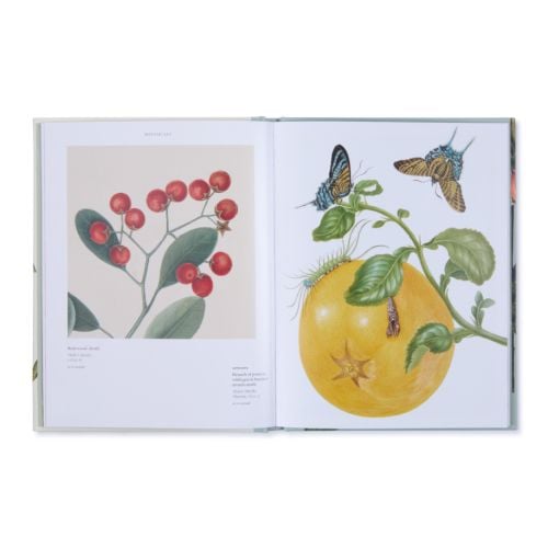 Botanicals from the Royal Collection