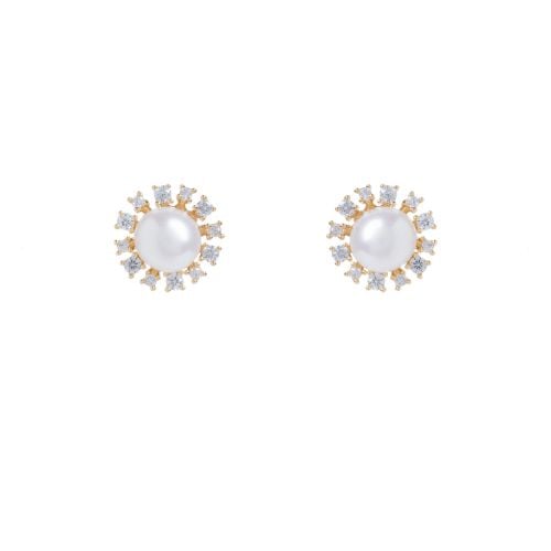 Pearl studded earrings with crystal border. 