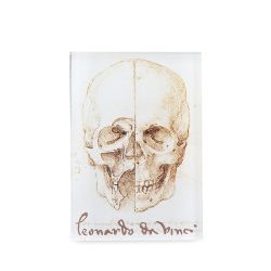Leonardo Da Vinci The Skull Magnet